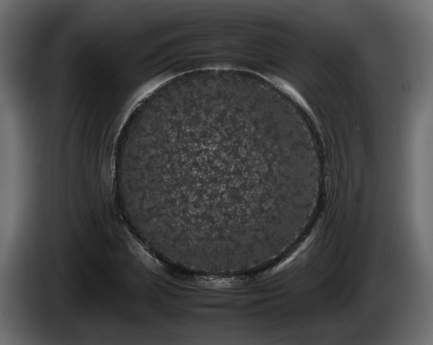 X0000085840831200703231440