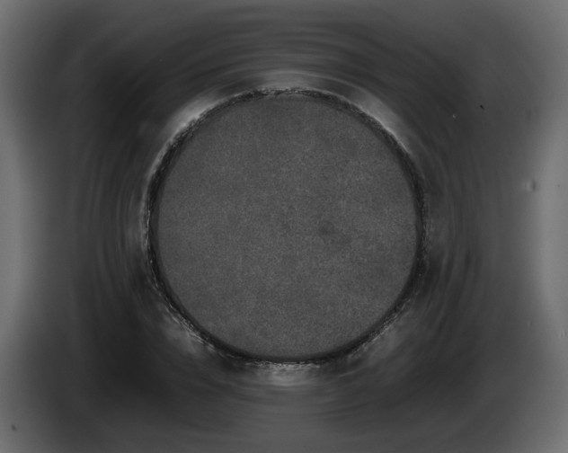 X0000085840832200703231440