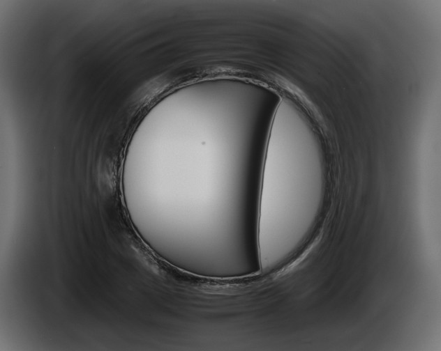 X0000085840833200703231440