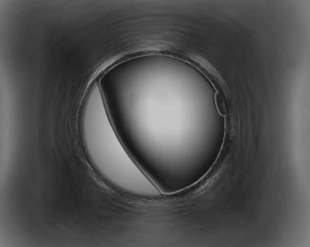 X0000085840834200703231440