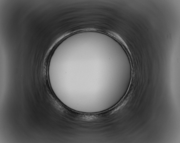 X0000085840835200703231440