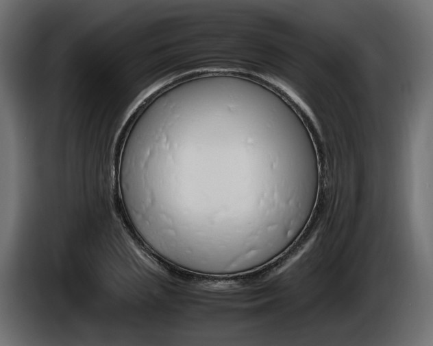 X0000085840837200703231440