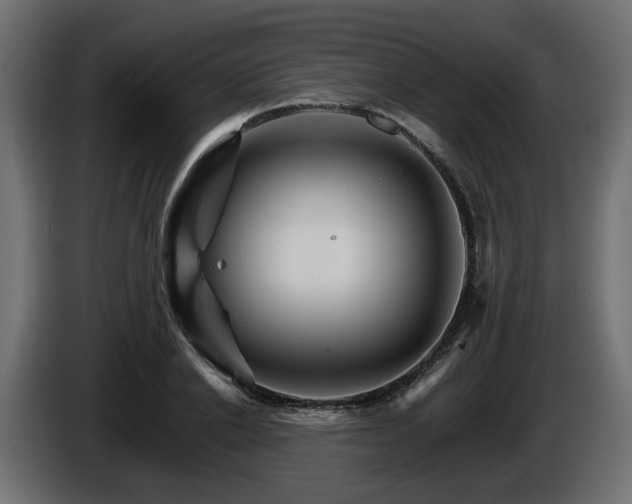 X0000085840838200703231440