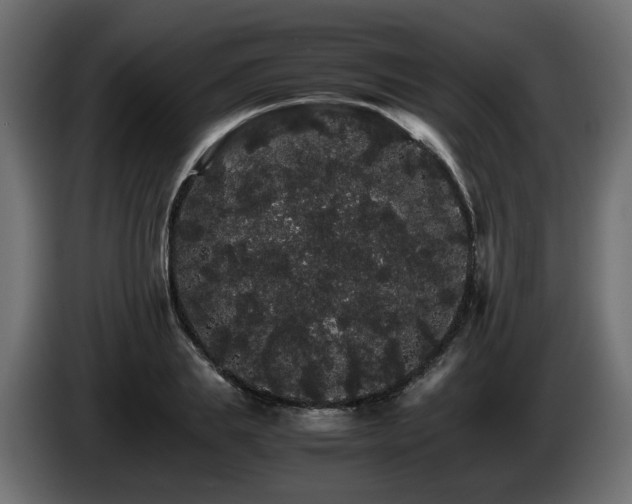 X0000085840839200703231440