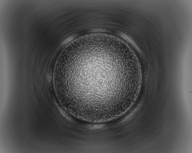X0000085840841200703231440