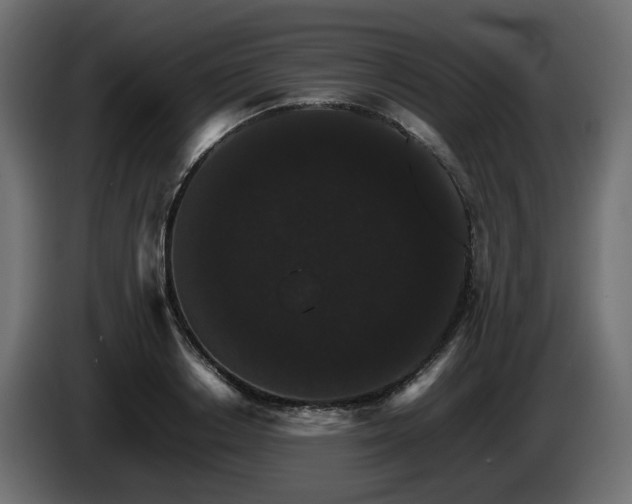 X0000085840842200703231440
