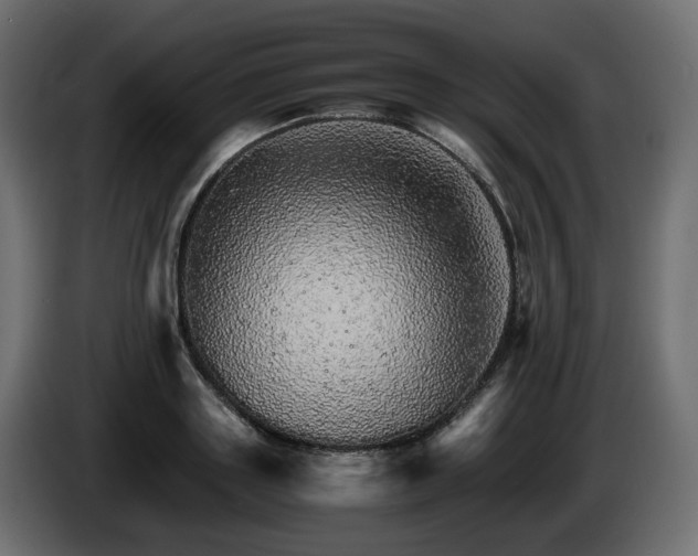X0000085840843200703231440