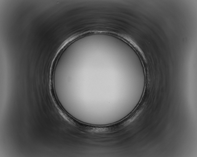 X0000085840845200703231441