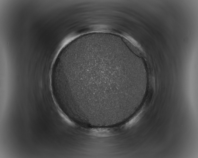 X0000085840846200703231441