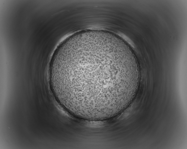 X0000085840848200703231441