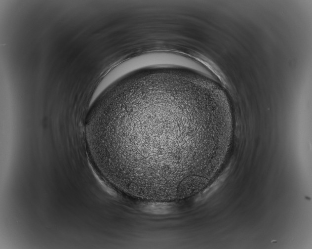 X0000085840849200703231441