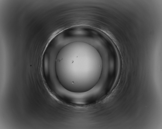 X0000085840850200703231441