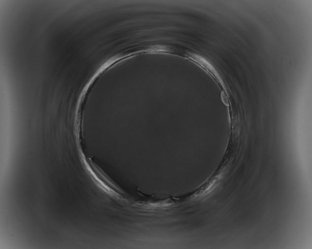 X0000085840851200703231441