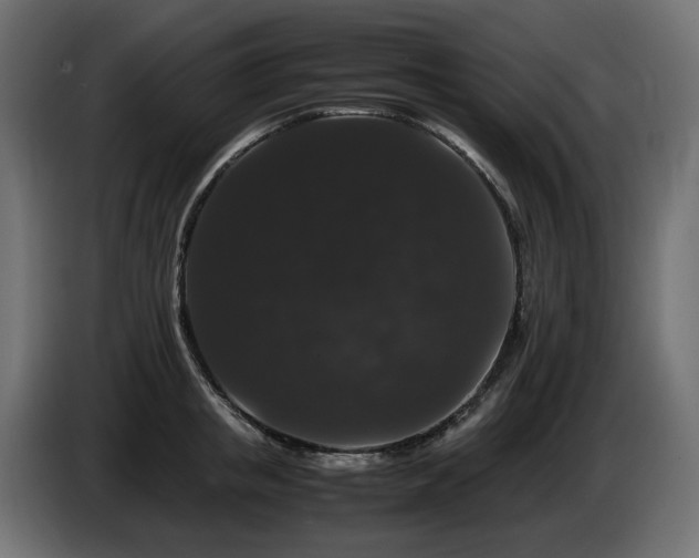 X0000085840853200703231441