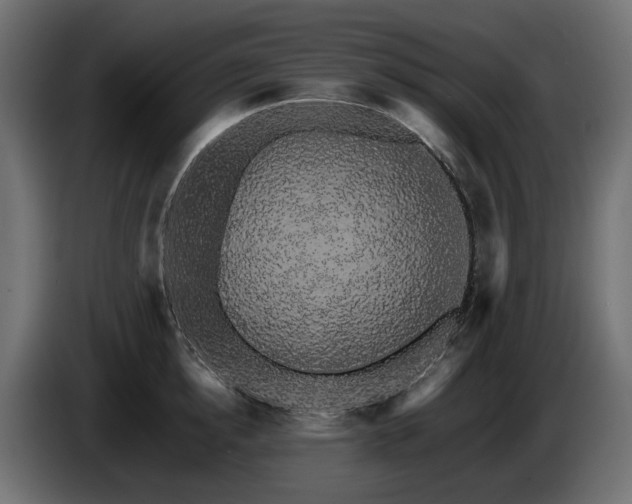 X0000085840854200703231441