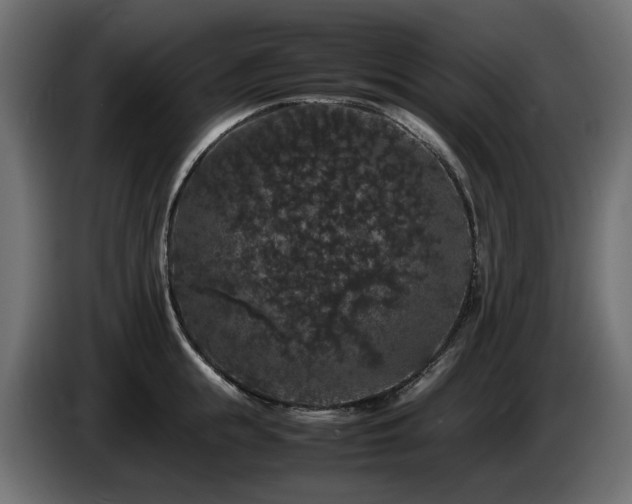 X0000085840855200703231441