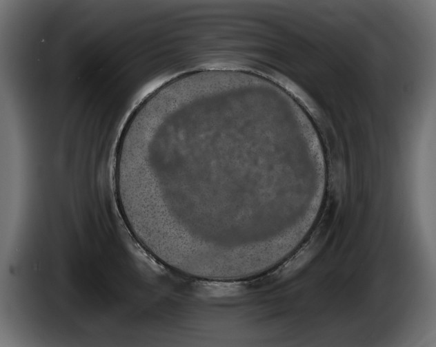 X0000085840856200703231441