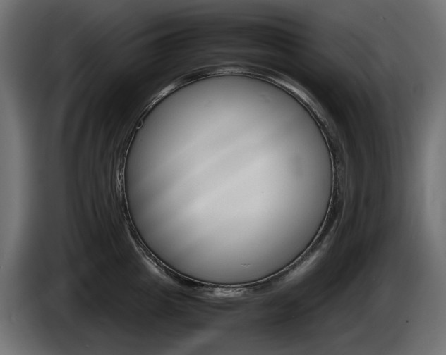 X0000085840857200703231441
