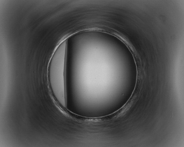 X0000085840858200703231441