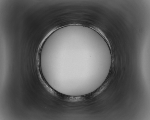 X0000085840859200703231441