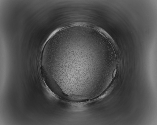 X0000085840860200703231441