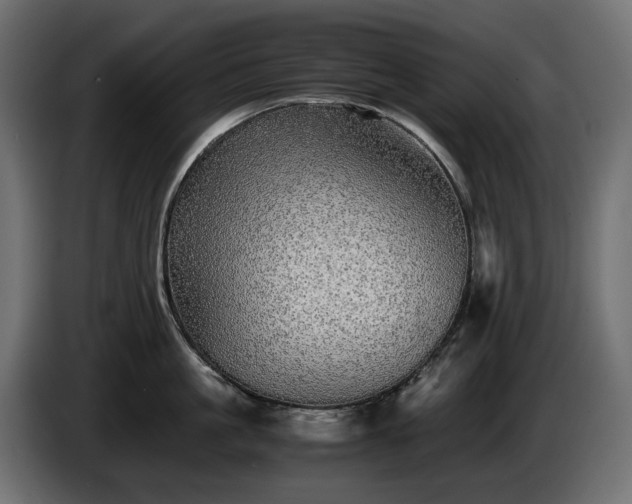 X0000085840861200703231441