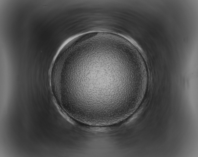 X0000085840862200703231441