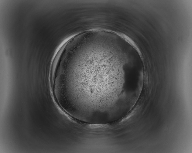X0000085840863200703231441