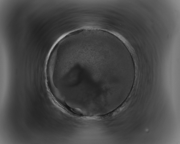 X0000085840864200703231441