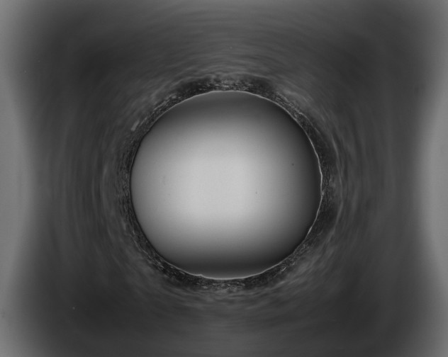 X0000085840865200703231440