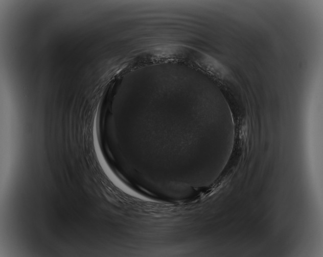 X0000085840868200703231440
