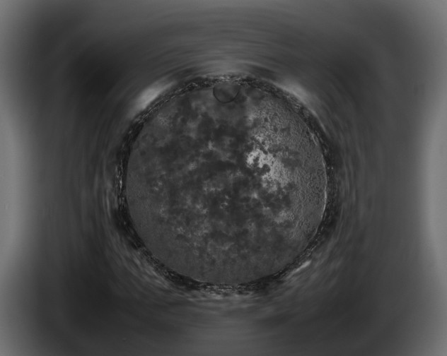 X0000085840871200703231440