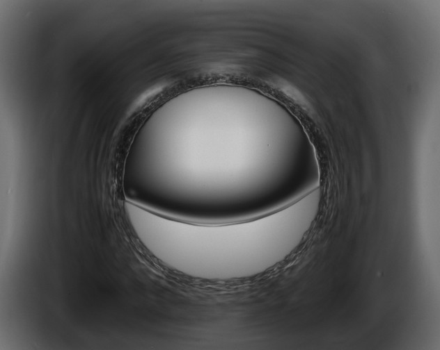 X0000085840872200703231440