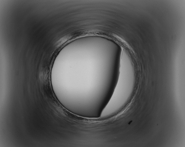X0000085840873200703231440