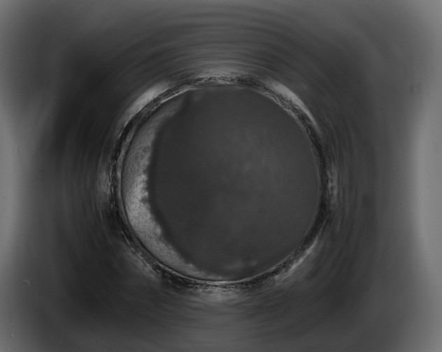 X0000085840874200703231440