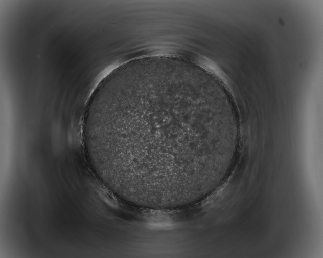X0000085840875200703231440