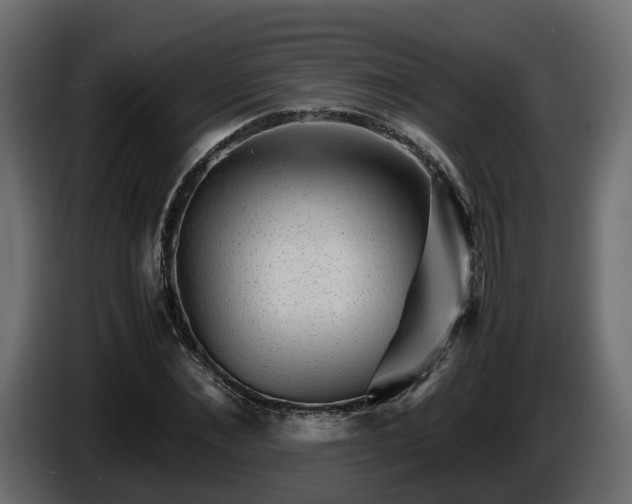 X0000085840876200703231440