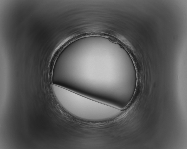 X0000085840877200703231440