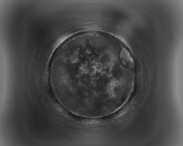 X0000085840879200703231440