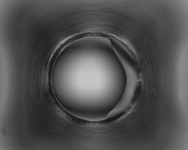 X0000085840880200703231440