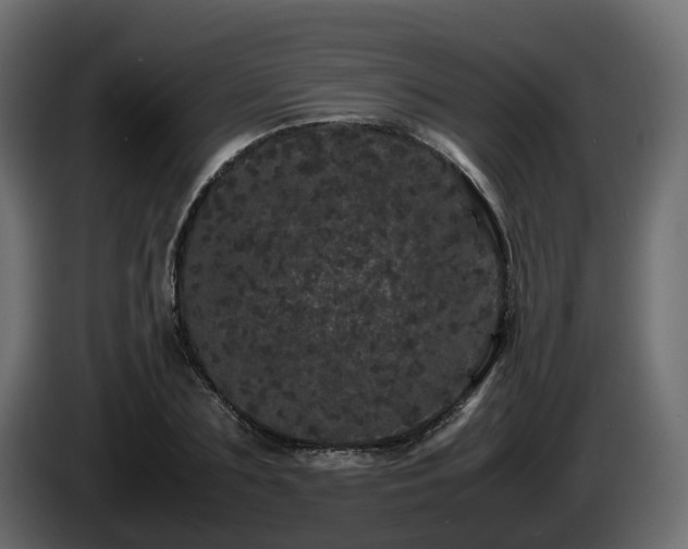 X0000085840883200703231440
