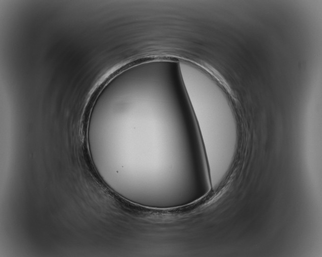 X0000085840885200703231440