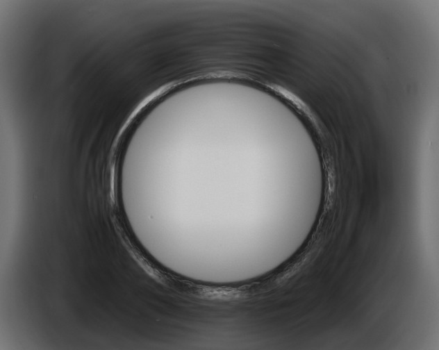 X0000085840886200703231440