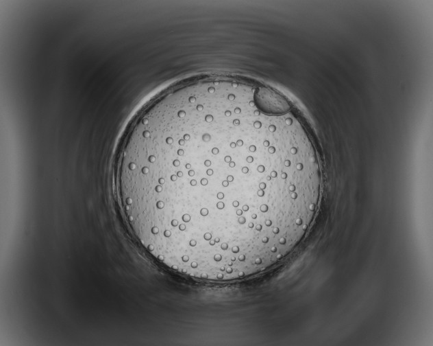 X0000085840887200703231440