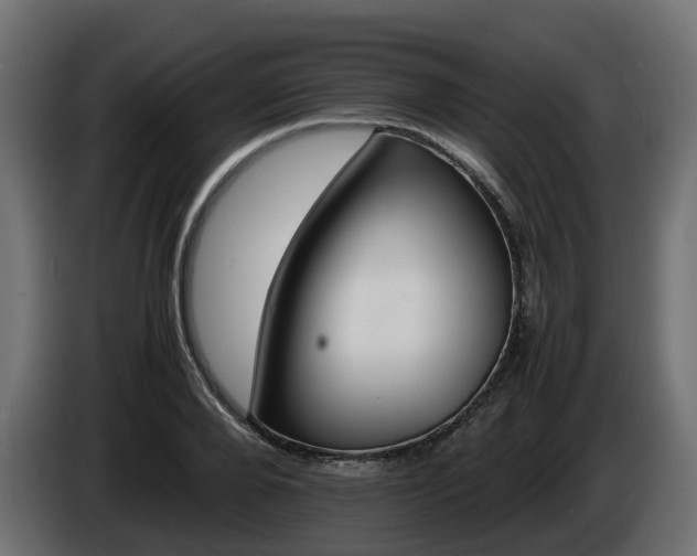 X0000085840888200703231440