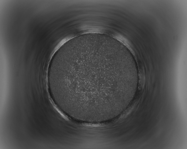 X0000085840890200703231440