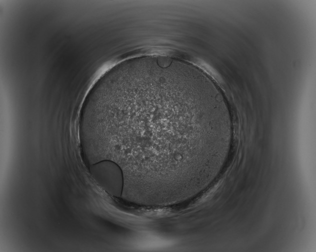 X0000085840891200703231440