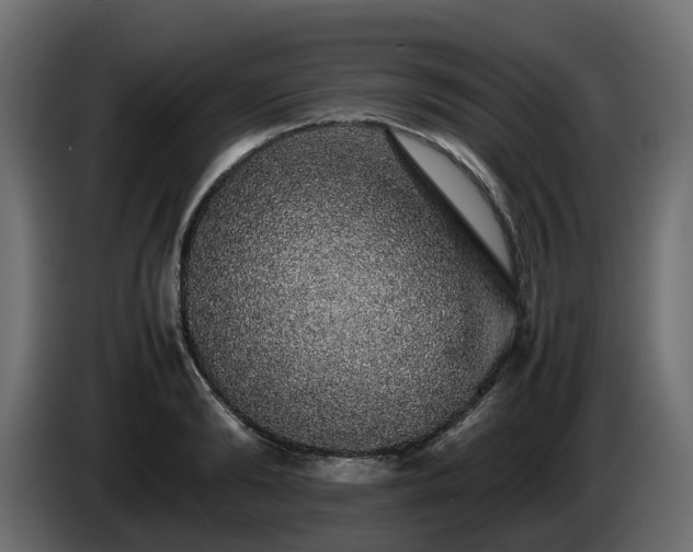 X0000085840894200703231440