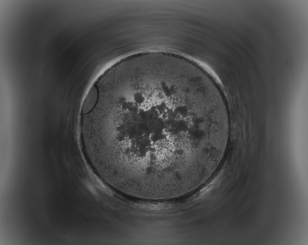 X0000085840895200703231440