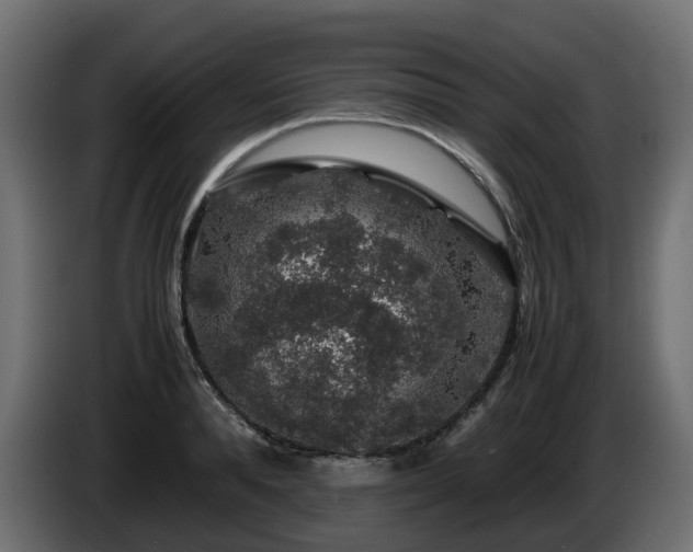 X0000085840896200703231440
